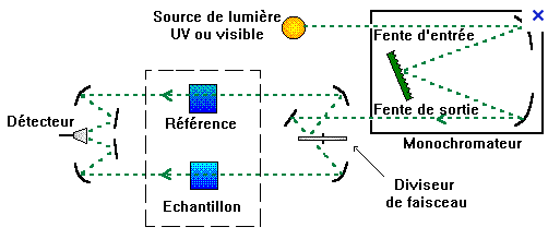 Le principe de la spectrophotométrie UV-visible