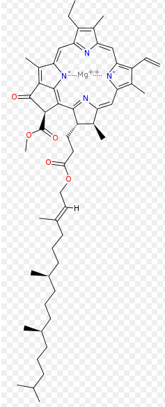 Chlorophylle a