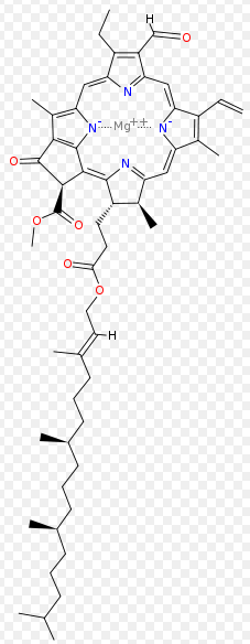 Chlorophylle b
