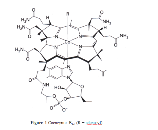 Chapitre 8 Exemples Coenzyme B12