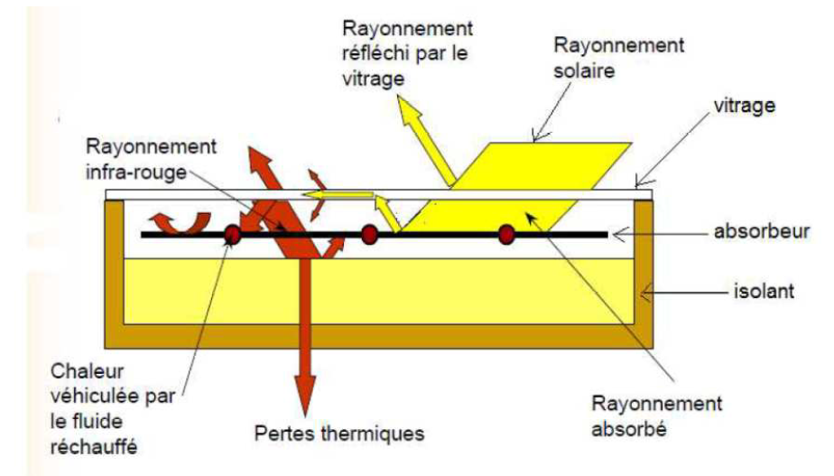 Capteur solaire thermique plan hautes performances - L'Echo du Solaire